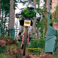 Image result for Forest Green 2001 Durango