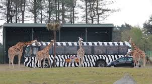 Mooie omgeving en je kunt meerdere keren het safaripark in. Nieuwe Ervaring Safaripark Beekse Bergen Hilvarenbeek Smaakvol Glutenvrij