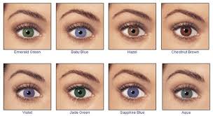 Example About Eye Color Determination Chart