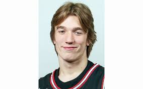 Boys basketball awards: Alexandria looks back