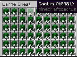 Just build it and let it do it's thing, it's just for you to take the new cactus! Minecraft Most Efficient Cactus Farm 1 16 Youtube