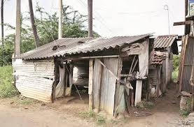 He was bought by sunrisers hyderabad ahead of 2018 indian premier league. An Ipl Blockbuster Starring T Natarajan Sports News The Indian Express