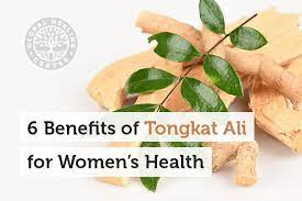 6 Benefits Of Tongkat Ali For Womens Health Health Womens Health Herbalism