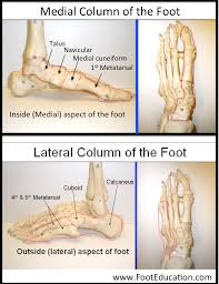 Exercises to help with pain over top of foot due to under pronation. Anatomy Of The Foot And Ankle Orthopaedia