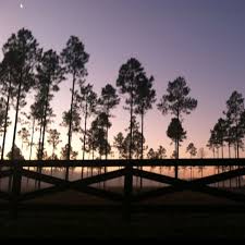 Near Ocala Fl Sunrise Ocala National Forest Ocala Ocala Florida