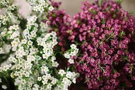 Searching for probably the most unique suggestions in the online world? 16 Cheap Wedding Flowers That Still Look Beautiful For Couples On A Tight Budget Inexpensive Wedding Flowers Cheap Wedding Flowers Beach Wedding Flowers