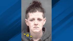 Central Lake woman arrested for stealing wallet from car parked at high  school