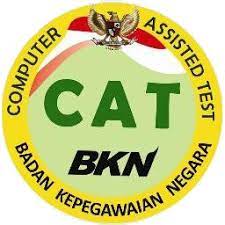 Selain untuk mengabdi kepada negara, berbagai fasilitas dan standar gaji yang cukup juga. Soal Cat Cpns 2015 Dan Kunci Jawaban Gratis Pdf Temukan Jawab