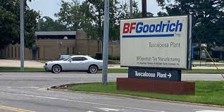 WBRC 6 News - News update