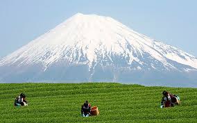 Could Mount Fuji Be The Next Japanese Volcano To Erupt