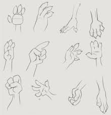 Three Fingered Paw Tutorial Furry Drawing Drawings Paw Drawing