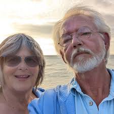 How to clean a cat's wound at home?