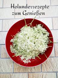 Holunderrezepte Zum Geniessen Holunder Rezepte Holunder Holunderbluten Rezepte