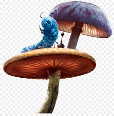 алиса в стране чудес Alice In Wonderland 2010 смотреть онлайн Pin De Julissa Ceballos Em Shrooooms Citacao Alice No Pais Das Maravilhas Alice No Pais Das Maravilhas Pais Das Maravilhas