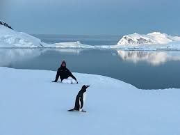 Wild in Antarctica