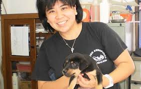 Adopting from soi dog foundation to europe, the us, and canada is straightforward and we organise every step of the process for you. Spca Penang Temporary Shelter For Dogs Cats