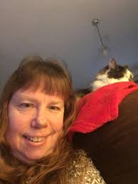 Kitties doing acrobatics