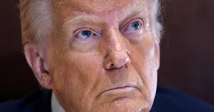 Michael Martin Kehoe 🇨🇦