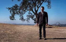 Steve strange david and ella