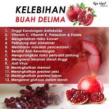 Buah delima merupakan salah satu buah yang terdapat di syurga. Tip Sihat Alami Kebaikan Buah Delima Jihaaz Enterprise Facebook