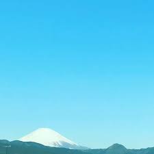 土屋太鳳 目黒川にも 桜色のぼんぼりがかかって いよいよ開花を待つだけ といった雰囲気の東京ですが お元気でしょうか 桜の時期は気温差が大きいので 夜は冷えやすいから 卖萌 ぼんぼり 太 バンブルビー