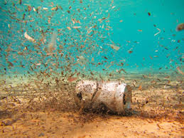 Seabed Pollution Free Stock Photo ...