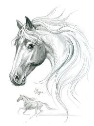 Alive By Nutlu Is A Beauty Search With Google Alivebynutlu Search Con Horse Art Drawing Horse Drawings Horse Drawing