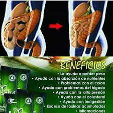 Iasotea El Te Milagroso Para Muchos Beneficios Desintoxica Bajas De Peso Y Reduces Medidas Wathsaap09 Food Frosted Flakes Cereal Box Frosted Flakes Cereal