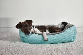 Place your larger piece of fabric right side up, then place one of your shorter pieces right side down on top of it, lining up the three unfinished edges with the unfinished edges on the right. Finding The Best Dog Bed For Your Pup Petco