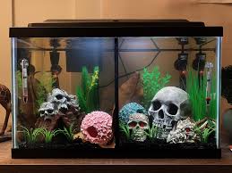 The tank is a 10 gallon tank. Brand New Separated 10 Gallon Tank Currently In Its Cycling Process Can T Wait To Add My Babies Bettafish