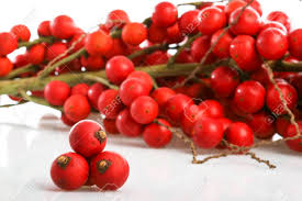 All the latest sports news from ireland and the world, from gaa to soccer, rugby to formula one, at breakingnews.ie, home of fast, factual and free news. Exotic Tropical Fruit Called Corozo Stock Photo Picture And Royalty Free Image Image 55951623