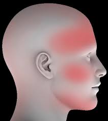 Vortex HDV PAPR System