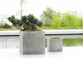 Beton Pflanzkubel Selber Machen Diy Zenideen Beton Pflanzer Pflanzkubel Pflanzen