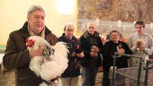 Walincourt-Selvigny: la 35e exposition avicole continue ce dimanche