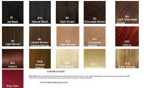 Puretemplehair Premium Indian Virgin Remy Hair Color Chart
