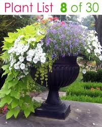 Check spelling or type a new query. Colorful Mixed Pots Flower Gardening With 30 Plant Lists A Piece Of Rainbow