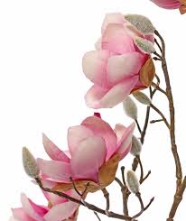 Nowadays, we have a strict quality control process to. Artificial Flowers And Plants Wholesale Top Art Int Detailansicht Blossom Branches Magnolia 5 Flowers 3x O 8cm 2x 5 Cm 12 Buds 80 Cm