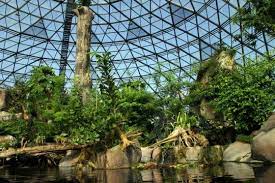 Maybe you would like to learn more about one of these? Randers Regnskov Tropical Zoo Denmark 2013 Work Related