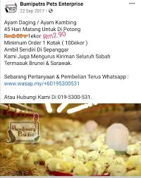 We'd like to set additional cookies to understand how you use gov.uk, remember your settings and improve government services. Bumiputra Pets Enterprise Home Facebook
