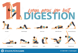 Set Of Yoga Postures Female Figures For Infographic 11 Yoga Poses For Best Digestion In Flat Design Stock Vector Illustration Of Figure Nature 128614361