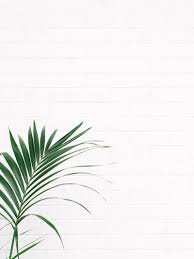  B Y L R M Zelenye Fony Fonovye Izobrazheniya Palmovyj Print