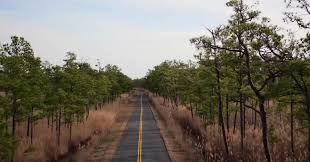 Guiding questions what was the underground railroad and how did it operate? Harriet Tubman S Path To Freedom The New York Times