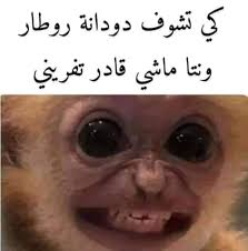 ادغال الطاهير