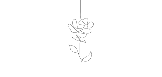Rose Rilora One Line Drawing Continuous Line Flower Handdrawn Illustration For Vector Id962765054 Dallas Innovates Find the perfect rose line drawing stock photos and editorial news pictures from getty images. rose rilora one line drawing continuous