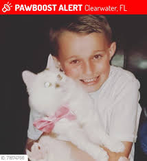 01/02/24 LOST Brandon FL Alex Clawson FLOKI missing yesterday from Kingsway  and Windhorst in Brandon, 33511. Male. REWARD! My neighbors cat went  missing last night. If you have seen him please message