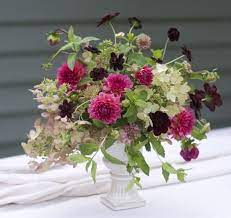 Maybe you would like to learn more about one of these? Chocolate Cosmos Botanical Brouhaha Chocolate Cosmos Flower Arrangements Floral Arrangements