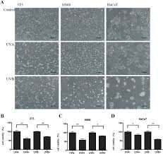 This is the equivalent of 1 teaspoon of sunscreen to each arm, leg, front of body, back of body and face (including neck and ears). Phototoxic Risk Assessment On Benzophenone Uv Filters In Vitro Assessment And A Theoretical Model Sciencedirect