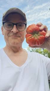 Beefsteak tomatoes showing off today. First big harvest of the year. How is  your harvest going?