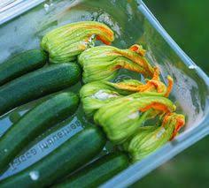 · hollyhock (alcea rosea syn.) petals and cooked flower buds can be added to salads. 37 Zucchini Flowers Ideas Zucchini Flowers Zucchini Recipes