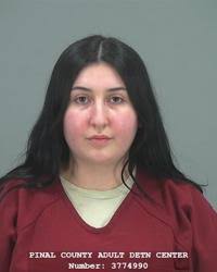 Pinal County Sheriff's log, 06/05/24